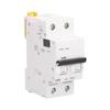 Circuit Breaker 2P Low Voltage 6000A Breaking Capacity DIN Rail Mount 63A AC 400V