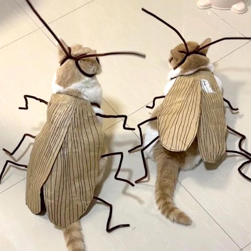 Lustige Kakerlakenkleidung für Katzen-Cosplay Verkleidung DIY-Materialpaket | Kakerlakenkostüm für Kätzchen | Atmungsaktive Haustierbedarf