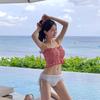 Korean Plaid Lace Ruched Bandeau Swimsuit with Sexy Triangle Briefs