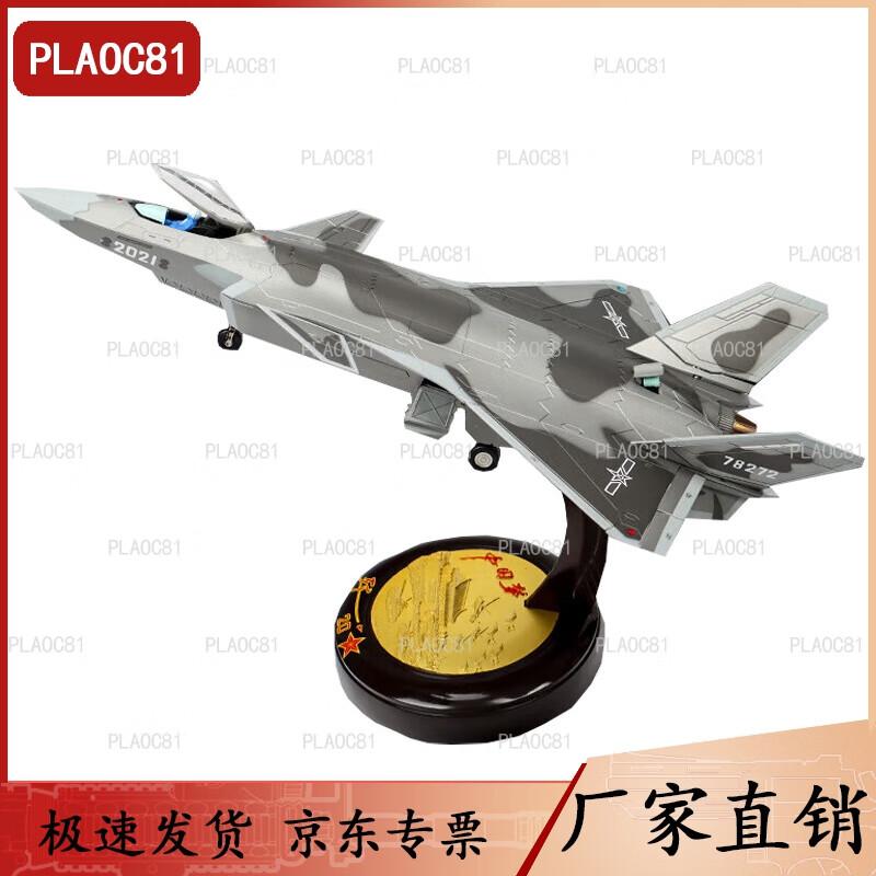 J-20 Stealth Fighter Aircraft Model (1:48 Scale)