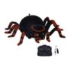 RC Crawling Spider Toy Decor Sound and Light for Kids Children Halloween Toy