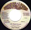 7-Zoll-Schallplatte PAUL ELLIOT Lift That Crown TC0020 Treasure Chest 2001 Jamaika Reggae Ska Dub Gebraucht