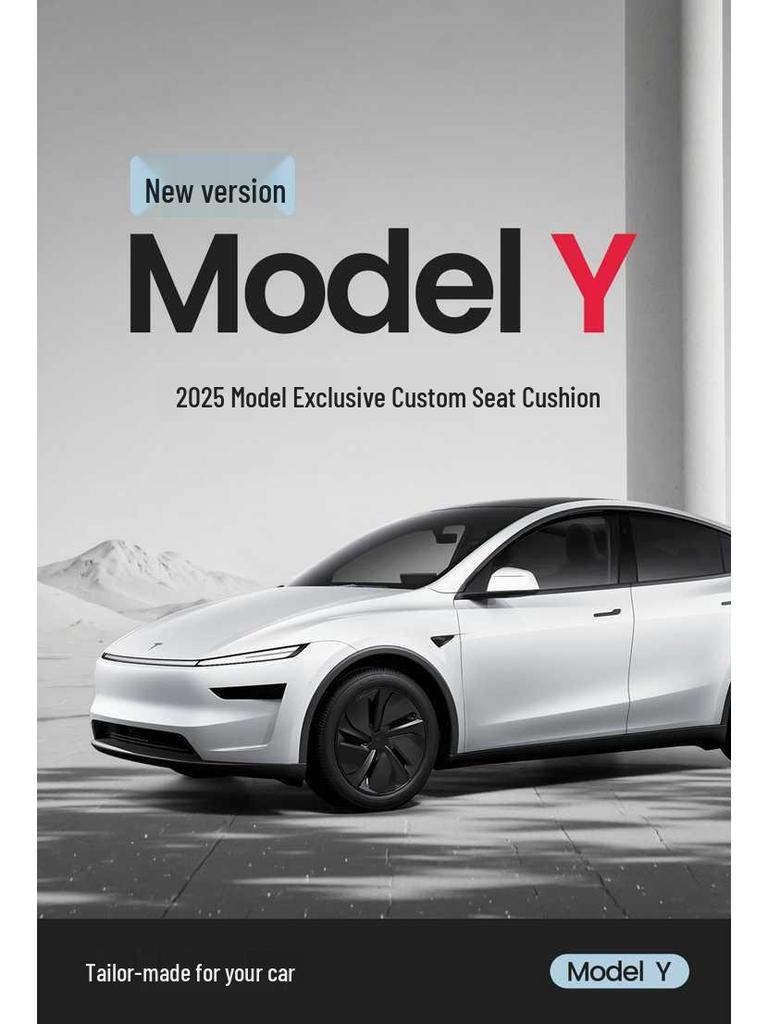 Tesla Model Y Esclusivo: Set di 25 Cuscini per Sedili e Tappetini Quattro Stagioni