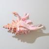 1Pcs Hair Claw Elegant Shark Clip Creative Conch Hairpin Colorful Gift For Summer Beach Headwear Hair Accessories