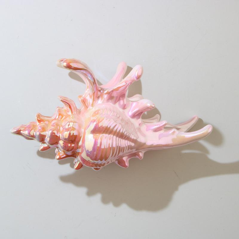 1Pcs Hair Claw Elegant Shark Clip Creative Conch Hairpin Colorful Gift For Summer Beach Headwear Hair Accessories