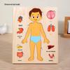 Wooden Human Anatomy Puzzle: Toddler Educational Toy for Self-Awareness and Science Learning