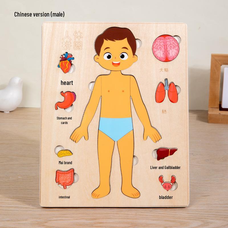 Wooden Human Anatomy Puzzle: Toddler Educational Toy for Self-Awareness and Science Learning