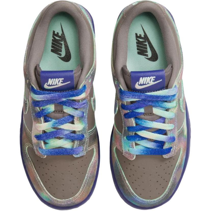 Nike Dunk Support Low Top Kids' Skateboarding Shoes Brown Kids' Sneakers HQ9294-200