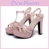 Elegant And Chic Summer New Fashion Women High Heel Sandals Open Toe Bandage Cross-strap Sandals