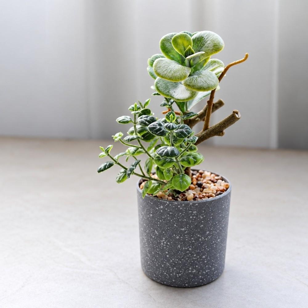 Green Simulation Succulent Flowerpotted Table Potted Fake Flower Bonsai Desktop Ornament