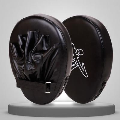 Taekwondo Boxer's Target