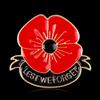 Red Poppy Pins Lapel Brooches Apparel Badges Pins for Women Girls On Veterans Day Memorial Day Remembrance Day Present