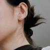 Dragon Scale Gourd Crushed Ice Earrings: Dazzling Fu Lu Studs for Women, Versatile High-End Jewelry Accessories.