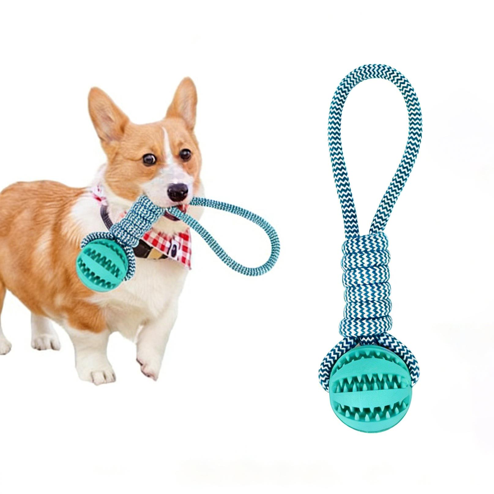 Dog Chew Toy with Treat Dispenser, Silicone Ball & Rope (18cm/5cm), Interactive Pet Play Toy United States