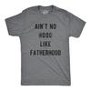 Funny New Dad T-Shirt, Fatherhood Gift