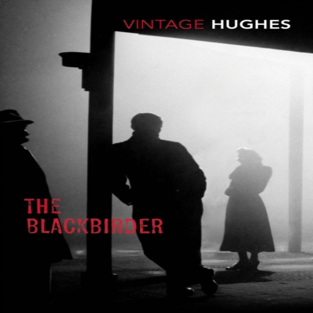The Blackbirder by Dorothy B Hughes Paperback Book 9781784870492