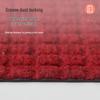 Dajiang Anti-slip Entrance Mat