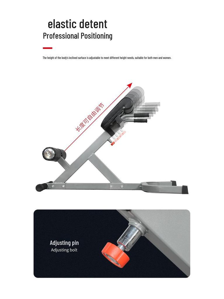 Commercial Roman Chair Back Trainer & Fitness Bench