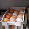 Supplies Egg Storage Box Organizer Case Anti-Collision Egg Holder Storage Container Egg Tray Fresh-Keeping Box 15 Grid Egg Box