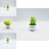 Plastic Succulent Miniature Plant Desert For Home Decor And Office Use