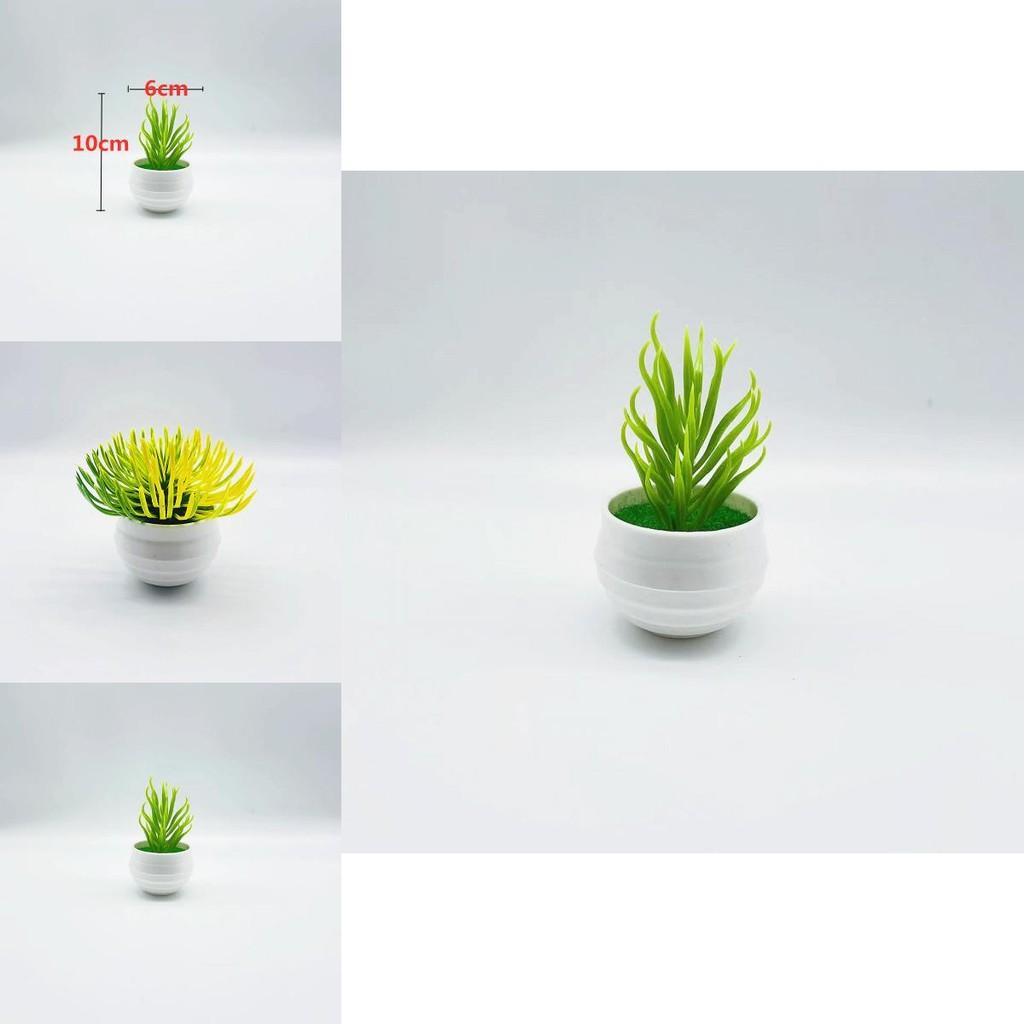 Plastic Succulent Miniature Plant Desert For Home Decor And Office Use