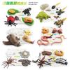 Realistic Animal Growth Cycle Storage Box Set With Mosquito Spider Ladybug Frog Worm Snail Models In Pink And Blue