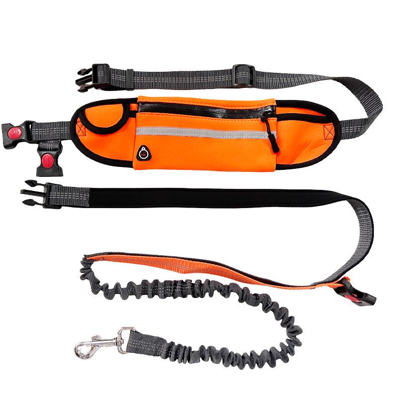 Pet Running Leash with Portable Waist Bag - Full-Function Dog Leash