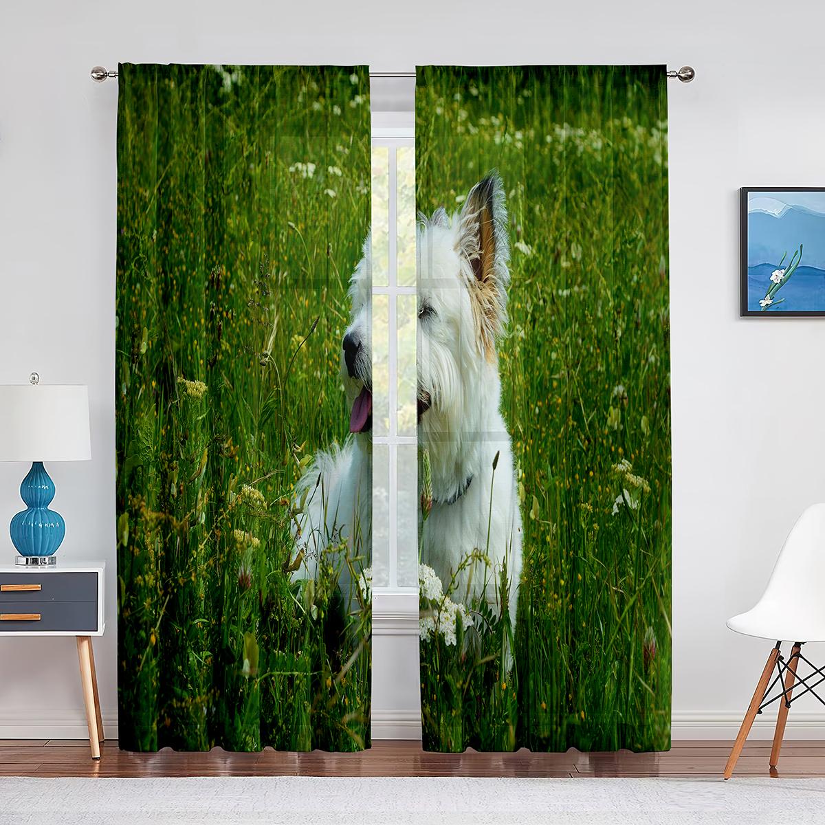 Вест-хайленд-уайт-терьер милый Вести-дог прозрачные шторы для гостиной спальни украшения — фото 14