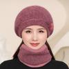 Winter Ladies Warm Knitted Wool Hat Thickened Warm Rabbit Hair Beret