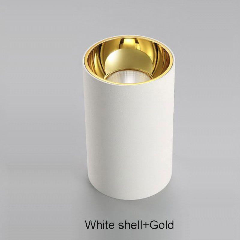 Dimmable LED Ceiling lights Cylinder Livingroom Kitchen Bedroom Foyer Offcer Rose Gold 5W 10W 15W 20W Ceiling lamp