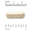 Euroherbs™, Olive Leaf Extract, Euromed Quality, 500Mg, 60 Veggie Caps