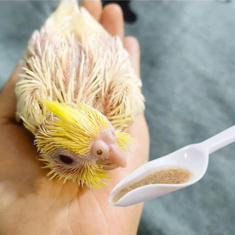 Alimentazione con -Design Anti-Goccia - Strumento di Alimentazione Manuale per Uccelli Piccoli