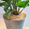 Dust-Free Planter Coconut Fiber Maintain Soil Surface Temperature Fiber for Garden Flower Pots Planters