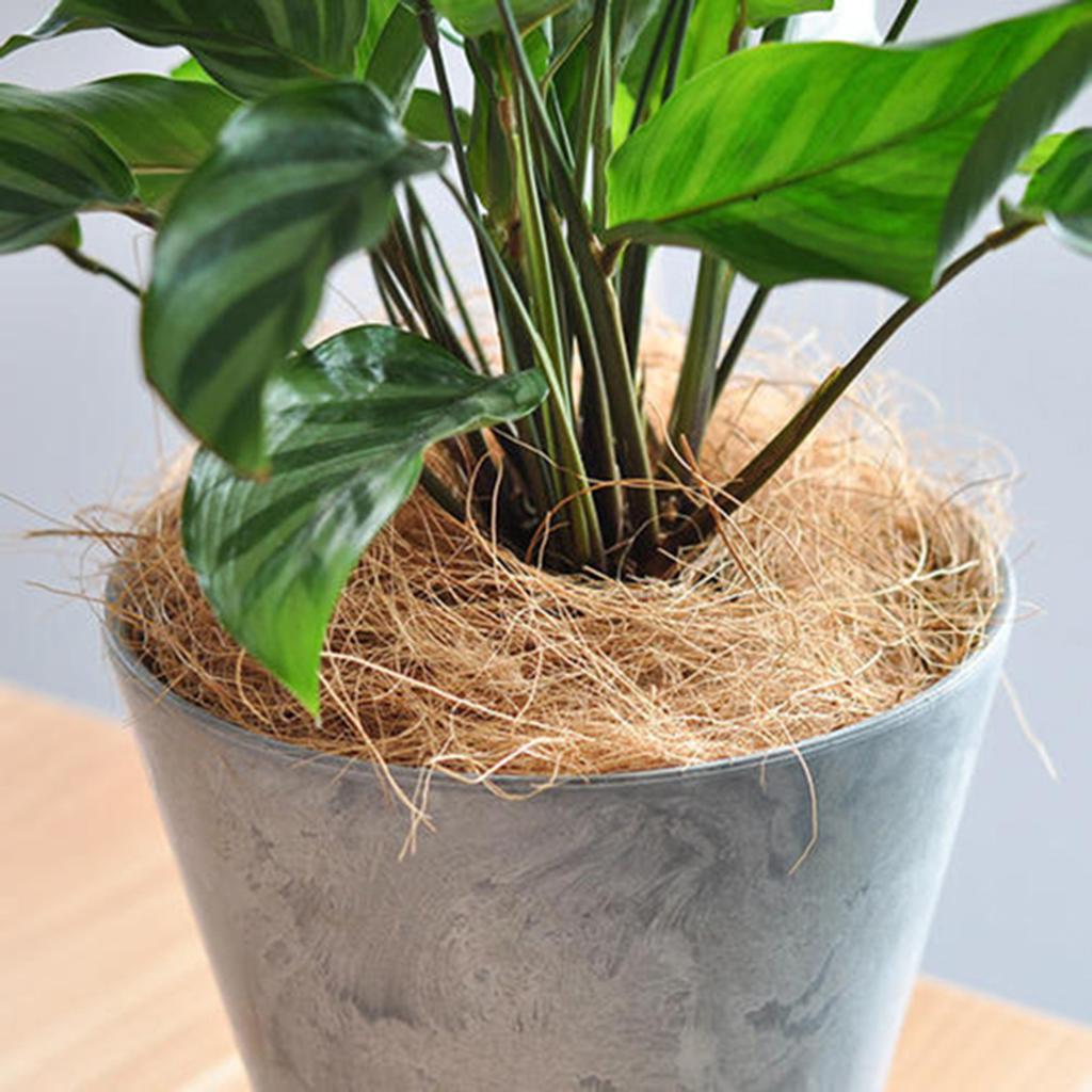 Dust-Free Planter Coconut Fiber Maintain Soil Surface Temperature Fiber for Garden Flower Pots Planters