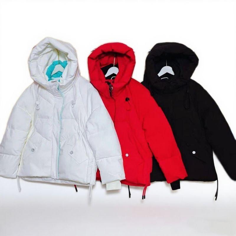 Foreign Trade Export European and American Original Order Hood Thick Ski Suit Women Outdoor Windproof Snow-Proof Warm Cotton Jacket Winter