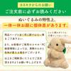 Yonekichi Rabbit Stuffed Toy Chibikichi Floppy Ears Fluffy Small Child Rabbit