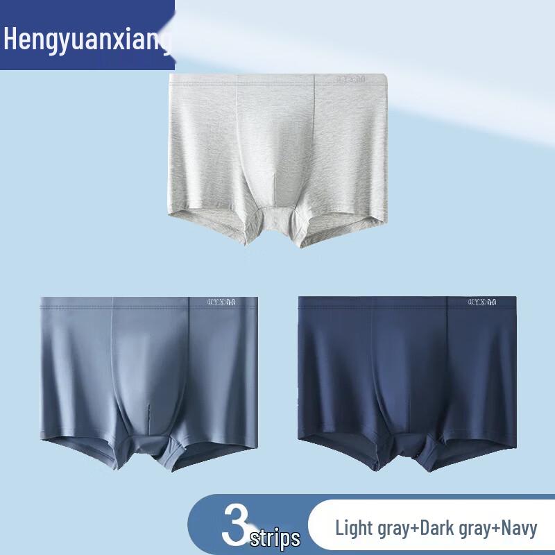 Hengyuanxiang Men's Plus Size Ice Silk Boxer Briefs