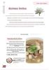 Illustrated Thickened Edition: Comprehensive Guide To Dietary Therapy & Chinese Medicine for Health Preservation