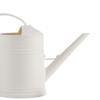 Decorative Watering Can with Detachable Spray Head Long Nozzle for Household