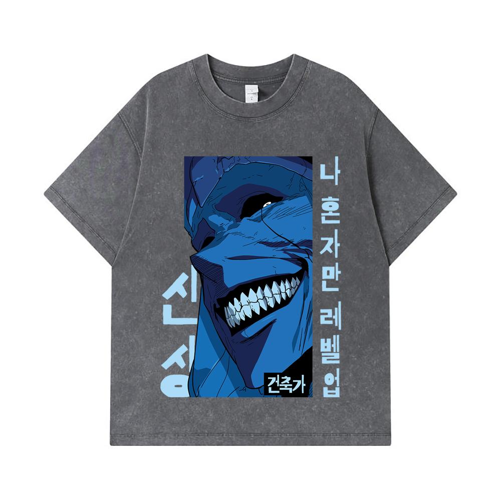275 GSM Washed T-shirts 100% Cotton Solo Leveling V16 Print Unisex Heavy Cotton T Shirt