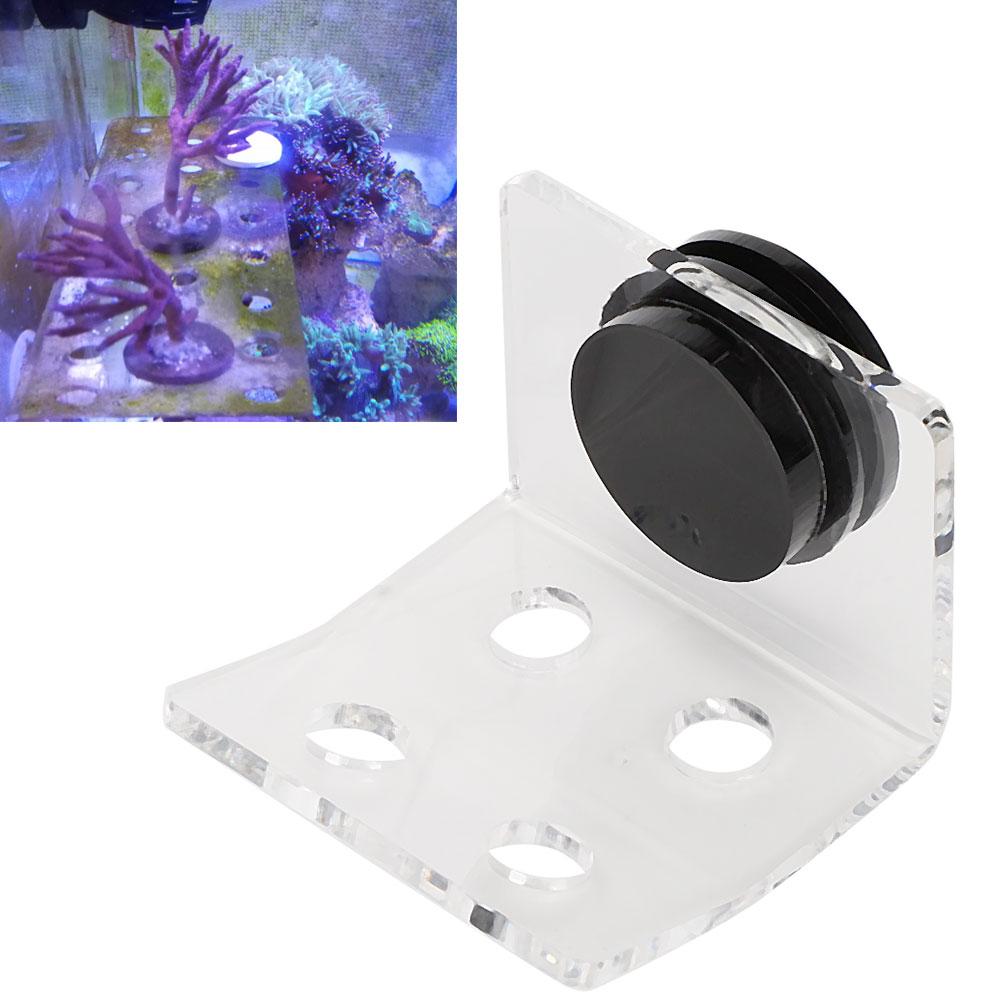 Aquarium Meerwasser Korallen Racks Halterung Halter Fischtank Knopfrahmen Verbesserter Saugfuß 4 Löcher