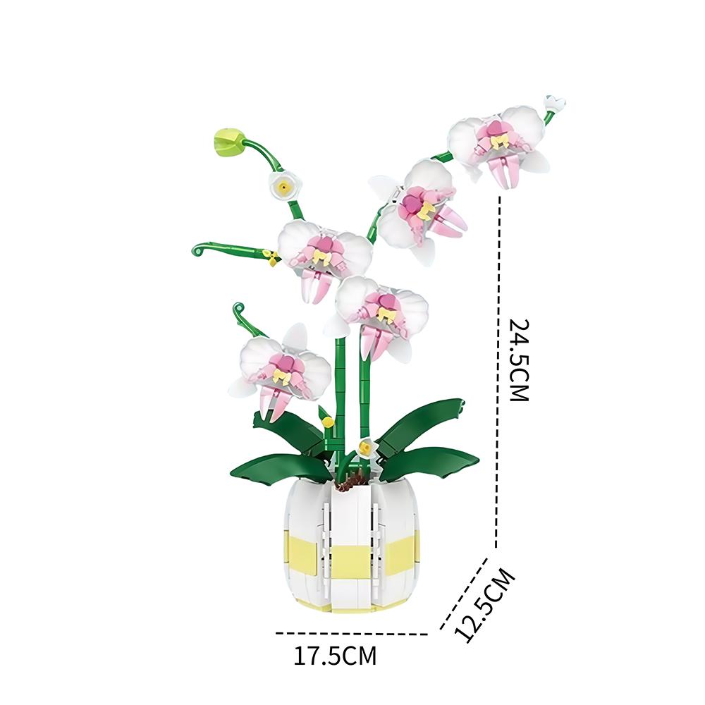Phalaenopsis Baustein-Set für Kinder - Lustige Simulation einer blühenden Topfpflanze, Ideal zur Dekoration von Zimmern & Geschenke für Mädchen