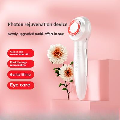 New Portable Face Introducer Temperature Lifting Vibration Massage Face Cleansing Beauty Instrument