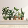 Hanging Green Potted Plants Wall Decal Realistic Look Removable Design For Bedroom Living Room Office Home Decor