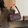 Niche Underarm Bag Women's Autumn and Winter 2025 New Trendy Fashion Small Square Bag High-end Texture Foreign Style Versatile Messenger Bag