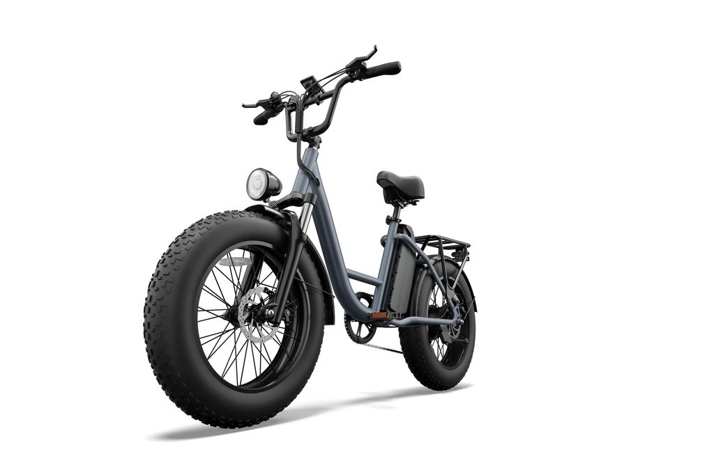 URLIFE E20 PRO Adult Electric Bike 1500W High-Power Motor 48V 15.6AH Battery 20*4.0 Inch Fat Tires for Off-Road & Urban Rides