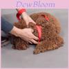 Brightly Colored Led Dog Collar Rechargeable Light-up Neckband For All Size Dogs