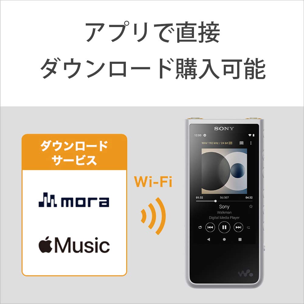 Sony Walkman 64GB ZX Series Audio MP3 MicroSD Touch Up to 20 Hours of Continuous 360 Reality Audio SM NW-ZX507 High-Resolution Compatible, Player,