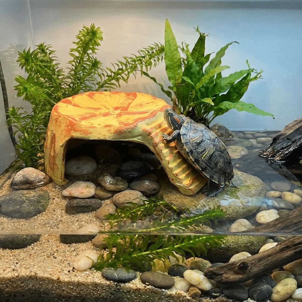 Imitation Rocks Turtles Basking Platform Decorative Reptile Hide Cave  Easy To Clean