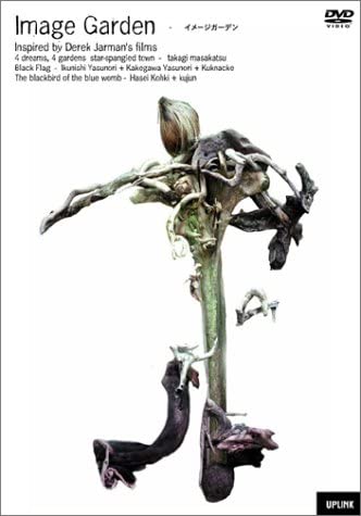 

DVD - Image Garden Japan Movies & DVD Used